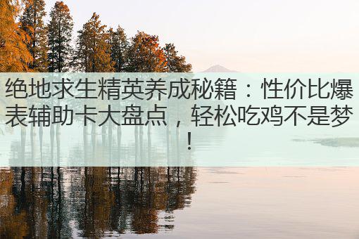 绝地求生精英养成秘籍：性价比爆表辅助卡大盘点，轻松吃鸡不是梦！
