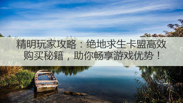 精明玩家攻略：绝地求生卡盟高效购买秘籍，助你畅享游戏优势！