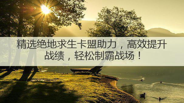 精选绝地求生卡盟助力，高效提升战绩，轻松制霸战场！