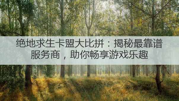 绝地求生卡盟大比拼：揭秘最靠谱服务商，助你畅享游戏乐趣