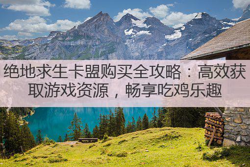 绝地求生卡盟购买全攻略：高效获取游戏资源，畅享吃鸡乐趣