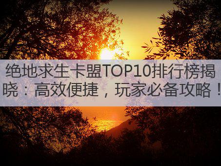 绝地求生卡盟TOP10排行榜揭晓:高效便捷,玩家必备攻略!