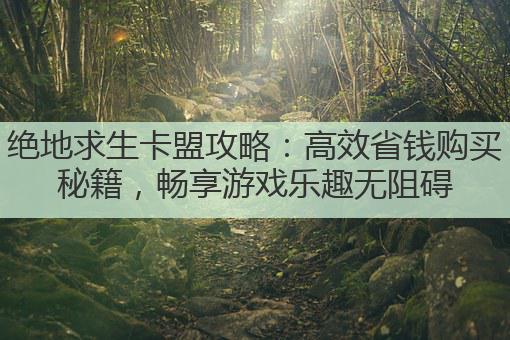 绝地求生卡盟攻略：高效省钱购买秘籍，畅享游戏乐趣无阻碍