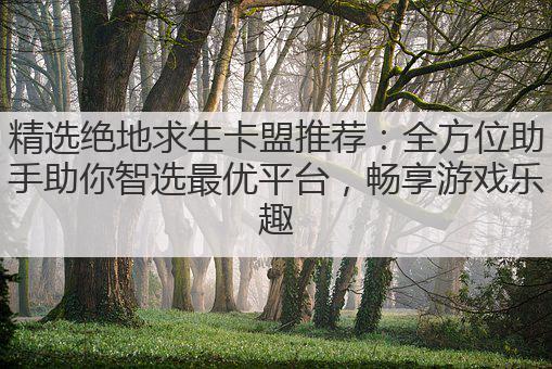 精选绝地求生卡盟推荐：全方位助手助你智选最优平台，畅享游戏乐趣