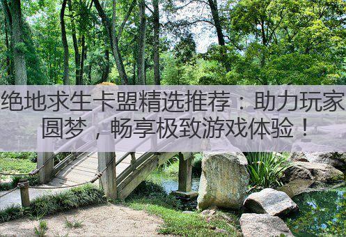 绝地求生卡盟精选推荐：助力玩家圆梦，畅享极致游戏体验！