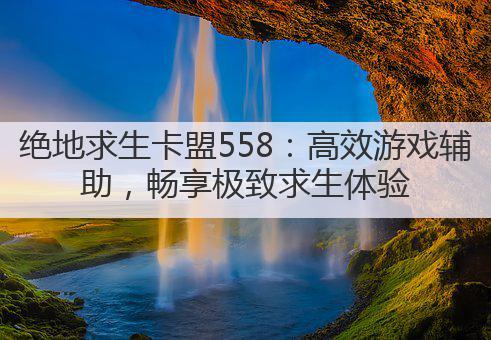 绝地求生卡盟558:高效游戏辅助,畅享极致求生体验