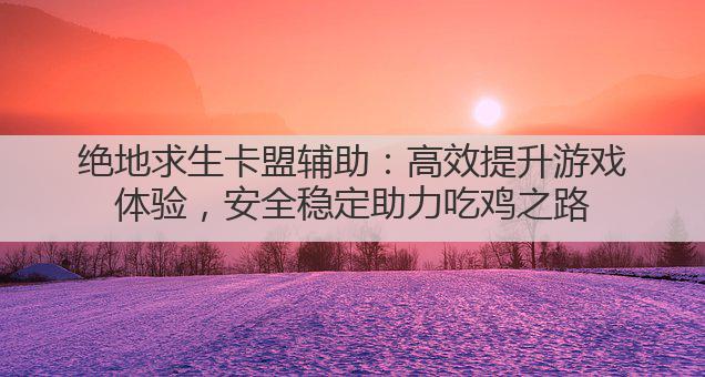 绝地求生卡盟辅助:高效提升游戏体验,安全稳定助力吃鸡之路