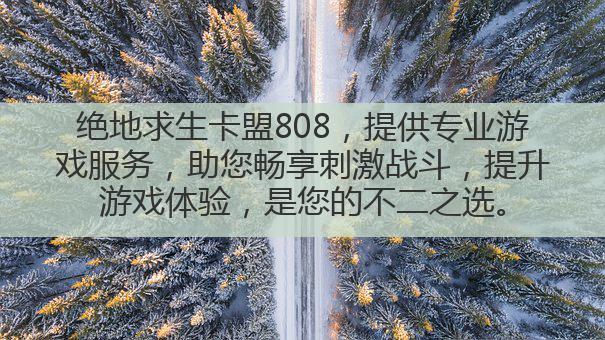 绝地求生卡盟808,提供专业游戏服务,助您畅享刺激战斗,提升游戏体验,是您的不二之选。