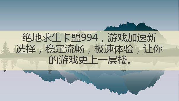 绝地求生卡盟994,游戏加速新选择,稳定流畅,极速体验,让你的游戏更上一层楼。