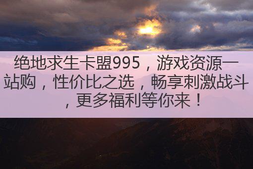 绝地求生卡盟995,游戏资源一站购,性价比之选,畅享刺激战斗,更多福利等你来!