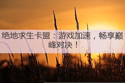 绝地求生卡盟:游戏加速,畅享巅峰对决!