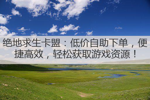 绝地求生卡盟:低价自助下单,便捷高效,轻松获取游戏资源!
