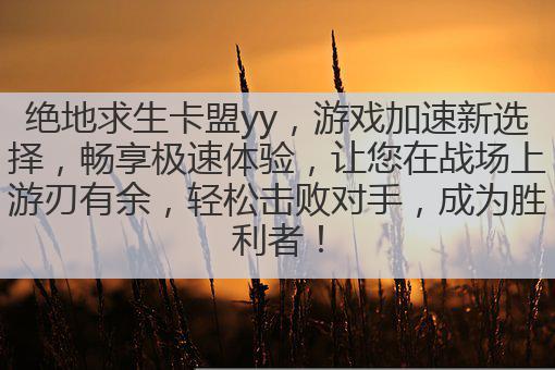 绝地求生卡盟yy,游戏加速新选择,畅享极速体验,让您在战场上游刃有余,轻松击败对手,成为胜利者!