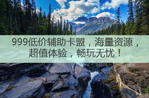 999低价辅助卡盟,海量资源,超值体验,畅玩无忧!