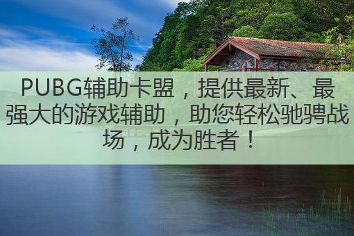 PUBG辅助卡盟,提供最新、最强大的游戏辅助,助您轻松驰骋战场,成为胜者!