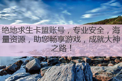 绝地求生卡盟账号，专业安全，海量资源，助您畅享游戏，成就大神之路！