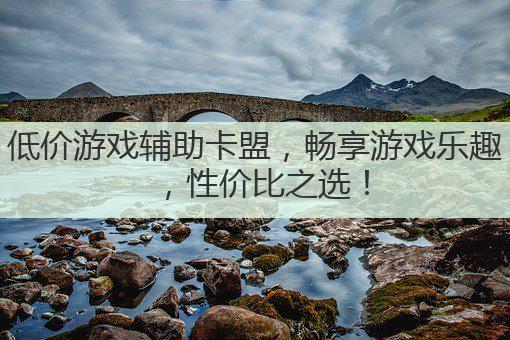 低价游戏辅助卡盟，畅享游戏乐趣，性价比之选！
