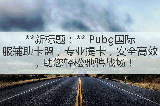 **新标题：** Pubg国际服辅助卡盟，专业提卡，安全高效，助您轻松驰骋战场！