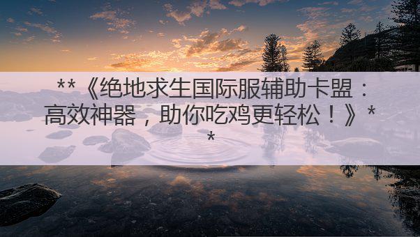 **《绝地求生国际服辅助卡盟:高效神器,助你吃鸡更轻松!》**