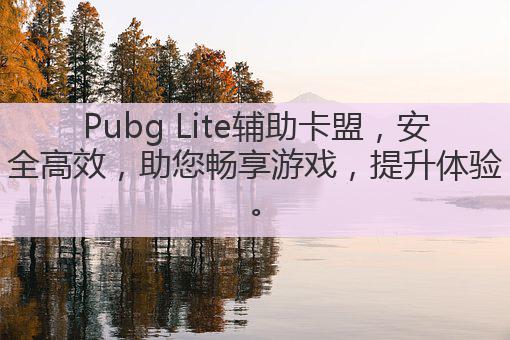 Pubg Lite辅助卡盟,安全高效,助您畅享游戏,提升体验。