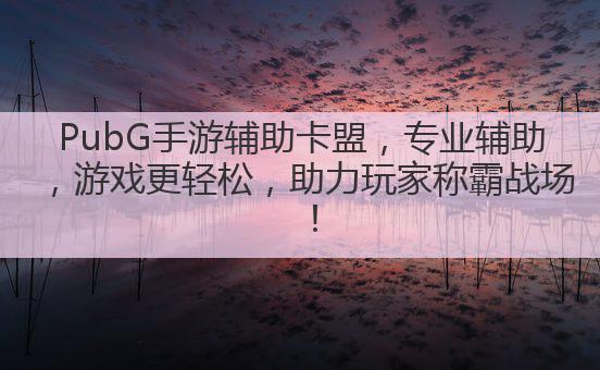 PubG手游辅助卡盟,专业辅助,游戏更轻松,助力玩家称霸战场!