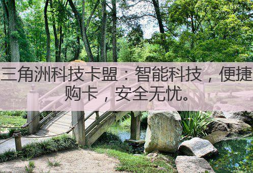 三角洲科技卡盟：智能科技，便捷购卡，安全无忧。