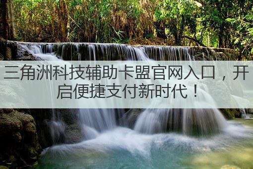 三角洲科技辅助卡盟官网入口,开启便捷支付新时代!