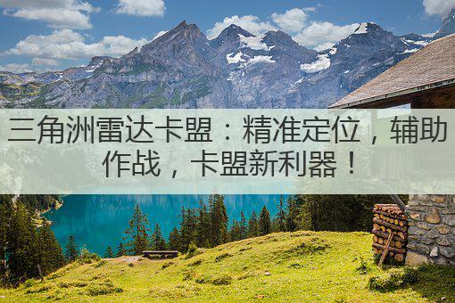 三角洲雷达卡盟：精准定位，辅助作战，卡盟新利器！