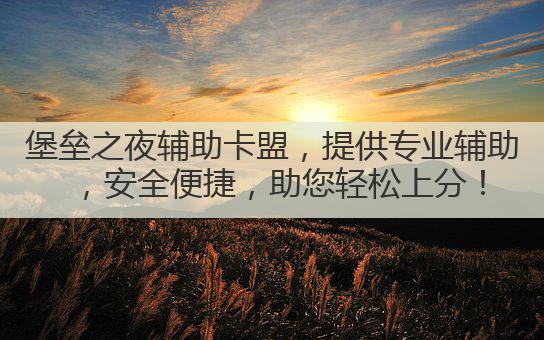 堡垒之夜辅助卡盟，提供专业辅助，安全便捷，助您轻松上分！