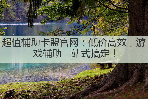 超值辅助卡盟官网：低价高效，游戏辅助一站式搞定！