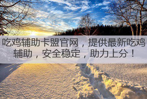 吃鸡辅助卡盟官网,提供最新吃鸡辅助,安全稳定,助力上分!