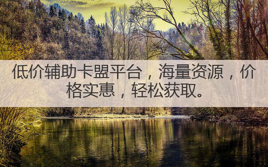 低价辅助卡盟平台,海量资源,价格实惠,轻松获取。