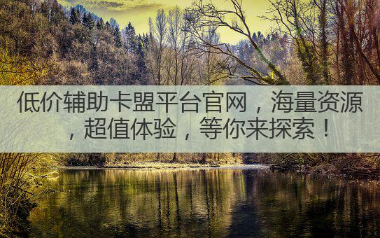 低价辅助卡盟平台官网,海量资源,超值体验,等你来探索!