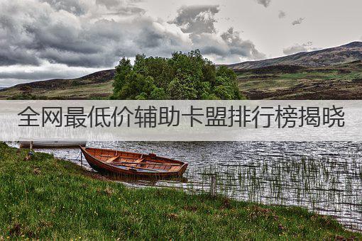 全网最低价辅助卡盟排行榜揭晓