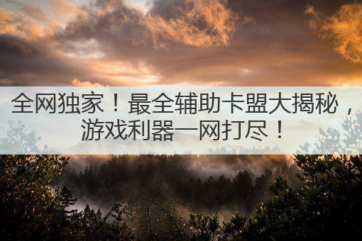 全网独家!最全辅助卡盟大揭秘,游戏利器一网打尽!