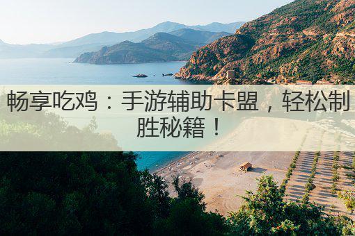 畅享吃鸡:手游辅助卡盟,轻松制胜秘籍!