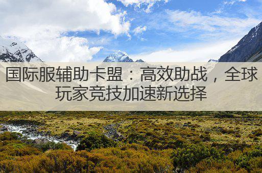 国际服辅助卡盟:高效助战,全球玩家竞技加速新选择