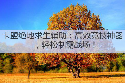 卡盟绝地求生辅助:高效竞技神器,轻松制霸战场!