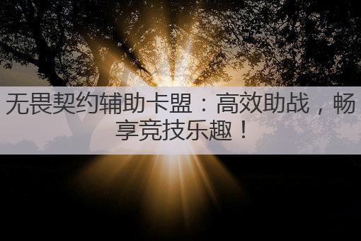 无畏契约辅助卡盟:高效助战,畅享竞技乐趣!