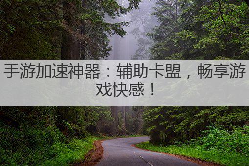 手游加速神器:辅助卡盟,畅享游戏快感!