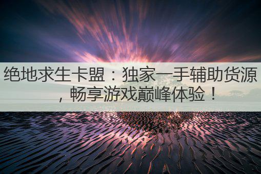 绝地求生卡盟:独家一手辅助货源,畅享游戏巅峰体验!