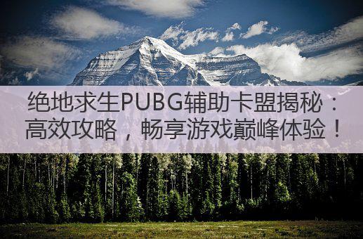绝地求生PUBG辅助卡盟揭秘:高效攻略,畅享游戏巅峰体验!