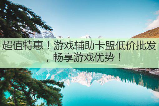 超值特惠!游戏辅助卡盟低价批发,畅享游戏优势!