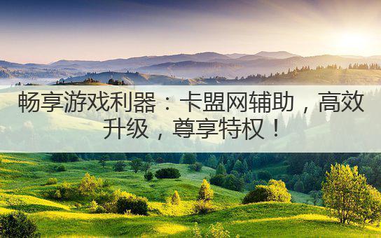 畅享游戏利器:卡盟网辅助,高效升级,尊享特权!