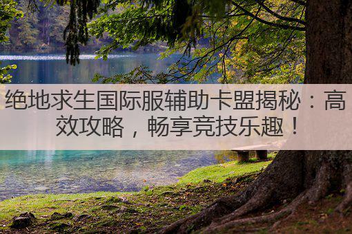 绝地求生国际服辅助卡盟揭秘:高效攻略,畅享竞技乐趣!