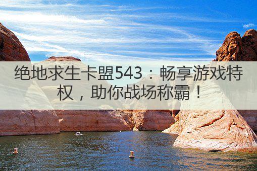 绝地求生卡盟543：畅享游戏特权，助你战场称霸！
