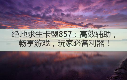 绝地求生卡盟857:高效辅助,畅享游戏,玩家必备利器!