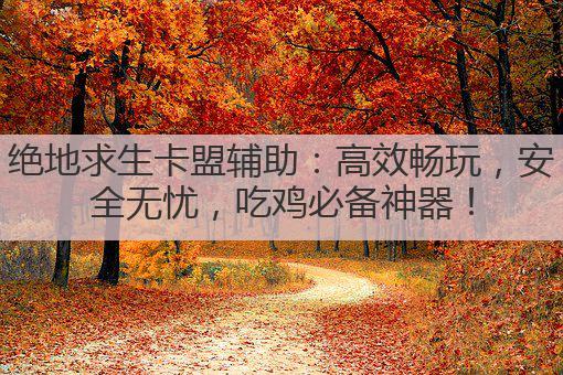 绝地求生卡盟辅助：高效畅玩，安全无忧，吃鸡必备神器！