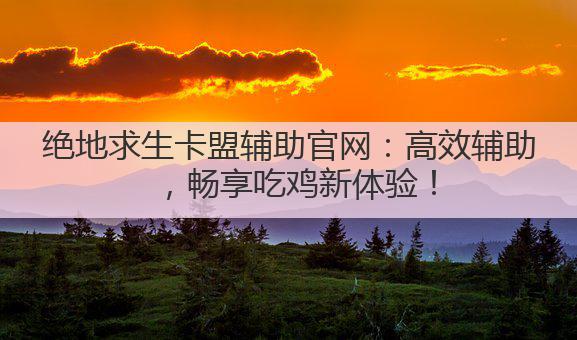 绝地求生卡盟辅助官网：高效辅助，畅享吃鸡新体验！