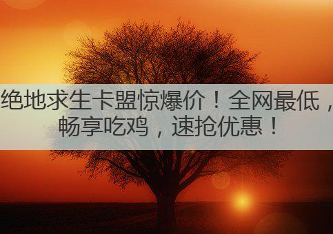 绝地求生卡盟惊爆价！全网最低，畅享吃鸡，速抢优惠！